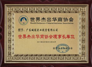 廣東城冠實(shí)業(yè)投資集團(tuán)圖冊——精準(zhǔn)投資咨詢，引領(lǐng)價(jià)值創(chuàng)造